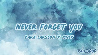 Zara Larsson MNEK Never Forget You Sped Up 