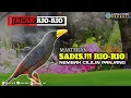 Download Lagu rio rio isian cililin nembak panjang