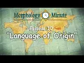 Morphology Minute Episode 10