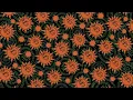 Feid, Young Miko - Classy 101 (Official Video)