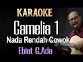 Download Lagu Camelia 1 (Karaoke) Ebiet G Ade Nada Pria/Cowok/ Male  Low Key (Camelia Satu)