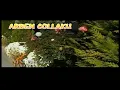 Download Lagu ARBEN COLLAKU (Zdrafko) - LULJA IME (Official Video)