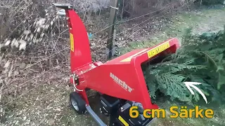                                             دندنها