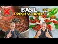 Fresh Basil vs Dried Basil Why Your Italian Food Tastes Wrong
