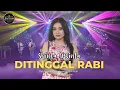 Download Lagu SHINTA ARSINTA - DITINGGAL RABI (OFFICIAL LIVE MUSIC)