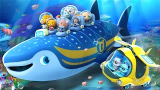 Sea World Adventure More Super Rescue Team Collection Best Cartoon Collection