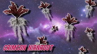 Skyrim All Crimson Nirnroot Location Guide