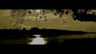 Заграй ми цигане старий Українська пісня 