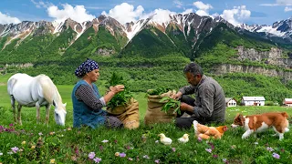 From The Mountain To The Table Picking Priceless Wild Garlic For Incredible Stuffed Bread 