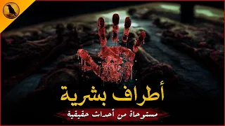 مستوحاة من أحداث حقيقية لطبيب تشريح يجد نفسه أمام أطراف بشرية غريبة مجهولة المصدر الراوي 