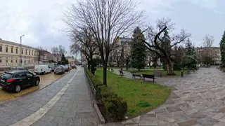                            دندنها