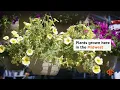 The Fleet Farm Garden Center Is Now Open