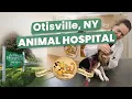 Animal Hospital Otisville NY
