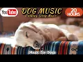 Download Lagu 20 HOURS of Deep Sleep Dog Music \u0026 Separation anxiety🐶💖Dog Relaxation Music🎵stressed dog🐶healingmate