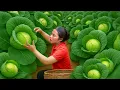 Download Lagu Harvest huge cabbage garden to sell at the market \u0026 Buy beautiful clothes with single mom