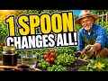 One Tablespoon of Molasses Triples Plant Growth in 7 Days A 1 Recipe