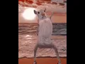 Download Lagu bumbum chacataca