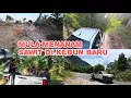 Download Lagu Membeli Benih Sawit Dan Terus Tanam