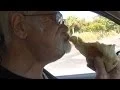 Angry Grandpa HATES Taco Bell Breakfast