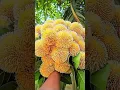 Download Lagu https://vt.tiktok.com/ZSkXMQrD3/