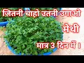 Download Lagu Grow Fenugreek in 3 days. How to grow fenugreek at home. Grow Fenugreek at home