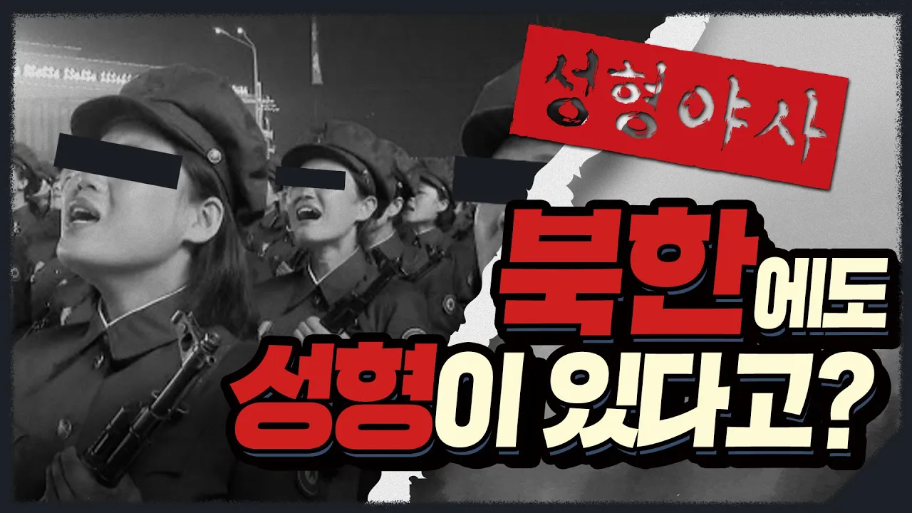 북한 성형, 모두 불법 시술?! 마취약도 내돈내산 해야되는 북한 성형수술 이야기 | 성형야사