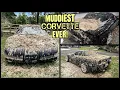 Deep Cleaning The Muddiest C5 Corvette EVER Insane Satisfying Disaster Detail Transformation