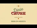 Beer In Mexico - Kenny Chesney Cover by Dixie Crush
