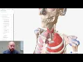 Make Awesome Anatomical Images using BioDigital free