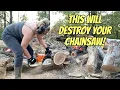 This One Minute Maintenance Will SAVE YOUR SAW Stihl MS440 Echo CS-590 Timberwolf