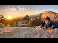 Download Lagu 2/22/2025 - Whale Peak in the Anza-Borrego Desert