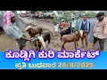 Download Lagu ಕೂಡ್ಲಿಗಿ ಕುರಿ ಮಾರ್ಕೆಟ್ ಪ್ರತಿ ಬುಧವಾರ Kudligi Sheep Market every Wednesday