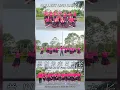 Download Lagu Click 👆 [FullVideo] ZONG YI WEI LAI RI FANG CHANG remix Line Dance, demo by Gallery, Indonesia