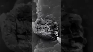 Https V Kuaishou Com JdY265eI 快手用户1758580308341 Shared A New Post In Kwai Let S Have A Look 