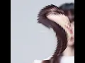 真昼の月