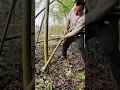 Lagu digging bamboo really enjoyable #naturalrurallife #naturerurallife #naturalife #satisfying #shorts