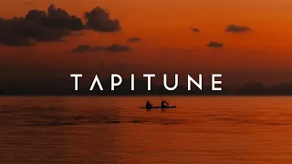 levi mvrin body tiktok 2025 