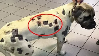Cuando el doctor vio estas marcas, estalló en lágrimas