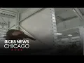 Vernon Hills Illinois police capture wild turkey inside Menards store