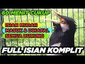 Lagu BURUNG JALAK SUREN GACOR ISIAN FULL mudah dihafal gampang masuk untuk PANCINGAN MASTERAN SEMUA JALAK