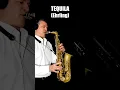 Download Lagu TEQUILA (Ehrling) - sax solo extract #altosax #saxophone
