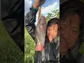 Lagu Mancing di sungai belakang rumah warga strike ikan jaer merah babon🤤🔥