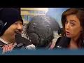 Bobby Lee and Eleanor Kerrigan Break Down Their 20 Year War