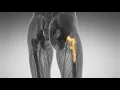 Key to effective treatment of synovial sarcoma is an early diagnosis medical experts say