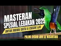 Download Lagu MASTERAN SPESIAL LEDAKAN 2025 KOMPILASI MEWAH UNTUK SEMUA JENIS BURUNG MURAI BATU DAN CUCAK IJO !!