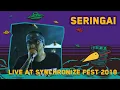 Download Lagu Seringai LIVE @ Synchronize Fest 2018