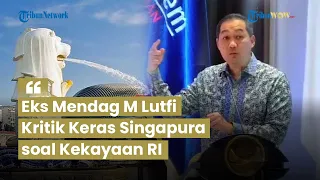 Eks Mendag M Lutfi Kritik Keras Singapura soal Hubungan Ekonomi dengan Indonesia