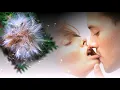 Download Lagu необыкновенно красивая мелодия о любви... Сергей Грищук - Ты со мной