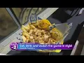 Nashville Predators game day experience