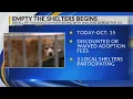 Lafayette animal shelter offers free adoptions Oct 1-15